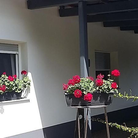 Apartma Mbm Apartment Krizevci pri Ljutomeru Ngoại thất bức ảnh